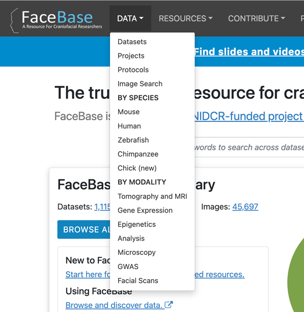 FaceBase Data menu