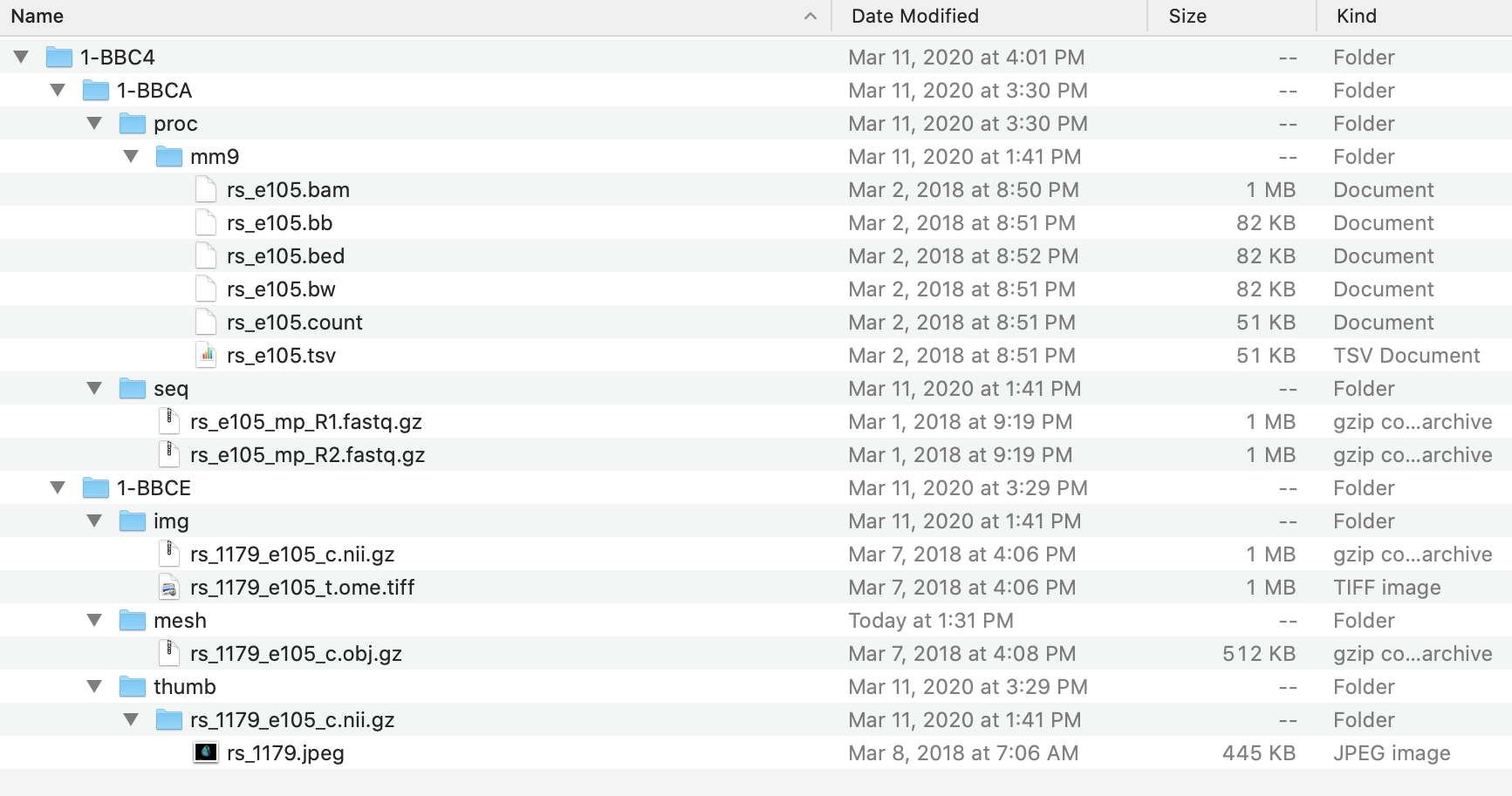 Screenshot of file directories ready for uploading